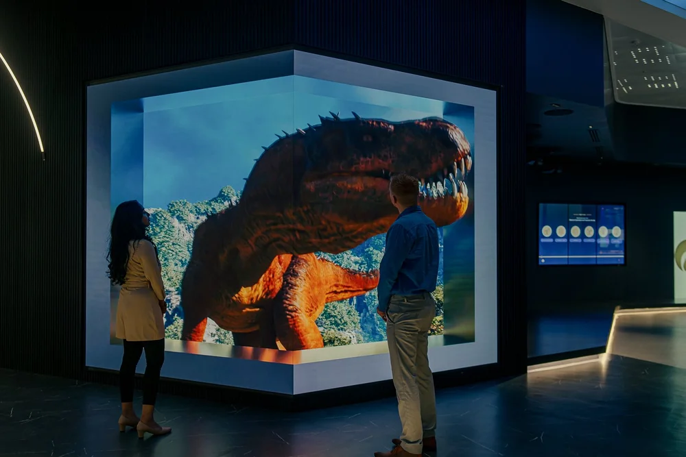 Anamorphic Walls